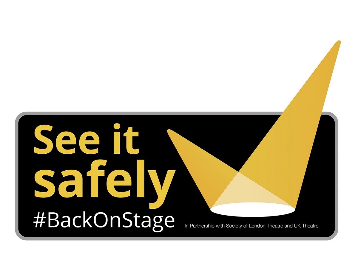 See it Safely Logo